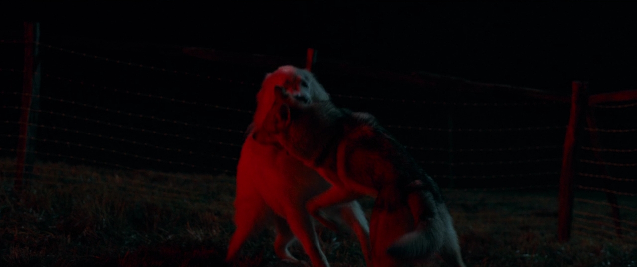 Белль и Себастьян.2022.BDRip 720p msltel.mkv_snapshot_01.04.14.893.jpg