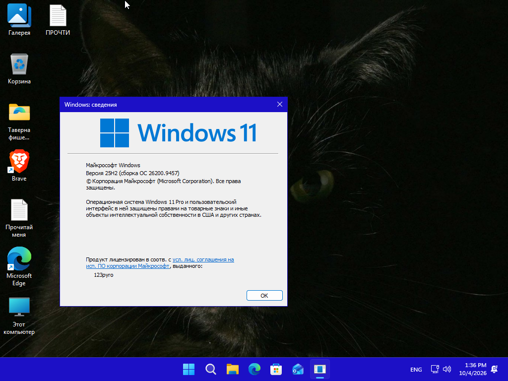 VirtualBox_3423253253_04_10_2026_23_35_58.png