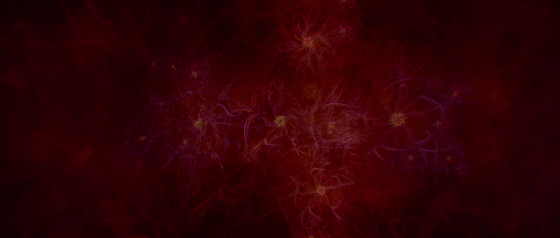 vlcsnap-2026-10-15-20h36m24s831.png