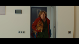 ����� ����, ��������� (2026/WEB-DL/WEB-DLRip)