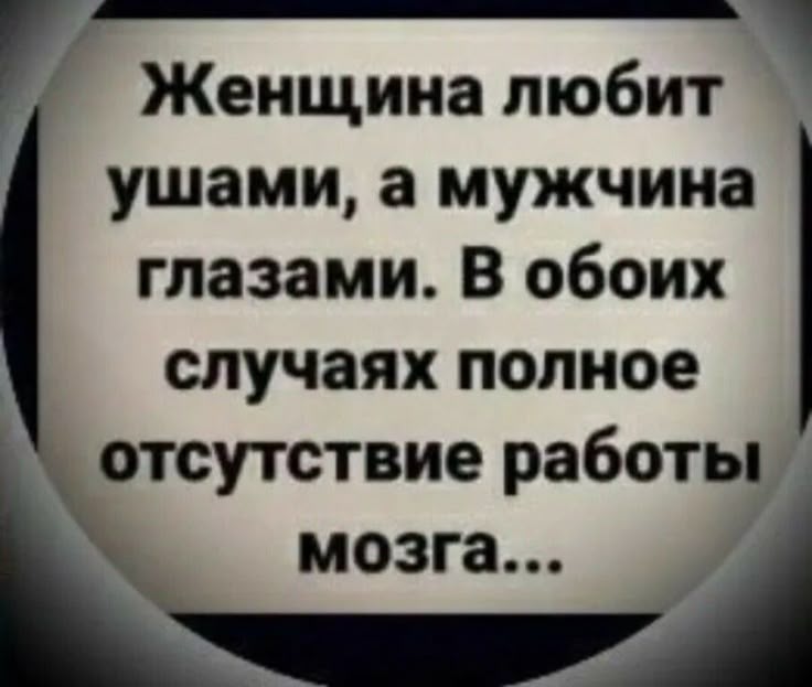 49233313d075bd07f05b6b5a4ae9c1a0.jpg