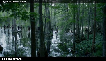 ��������� ���� ������ / Free State of Jones (2016) BDRip-AVC | iTunes | 2.14 GB