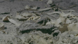ea4d9287bb1a067d985b3925f5ccfabf.png