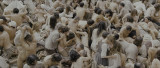 5f82aae6fffd55745c732f7ea15fdcf6.png
