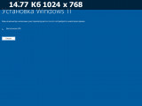 Windows 11 Pro 24H2