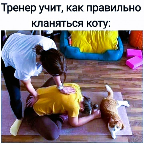 кты 