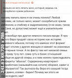 https://i6.imageban.ru/thumbs/2025.06.12/050dab08453b13eb8ded16345e60bcb8.jpg