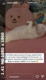 https://i6.imageban.ru/thumbs/2025.06.22/0f6700fe37b41864cbe33610c1fe1e1a.png