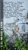 https://i6.imageban.ru/thumbs/2025.07.02/8f995418c71b68d67fc2a8f9543ec795.jpeg