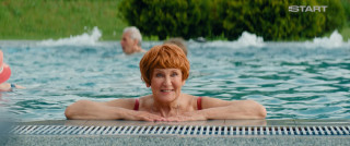  .   (2025/WEB-DL/WEB-DLRip)