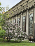 https://i6.imageban.ru/thumbs/2026.05.20/06c4e9a6239d678d0d1f2de9ccd7c681.jpg