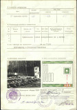 https://i6.imageban.ru/thumbs/2026.07.19/c8643d1c84fe2c6fcc5594679031ec7d.jpg