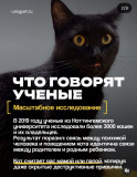 https://i6.imageban.ru/thumbs/2026.07.23/5425e216a0aeef26901c93a6d4d4761c.jpg