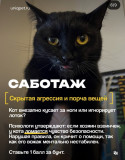 https://i6.imageban.ru/thumbs/2026.07.23/a6a5e561963c7d6bbb3fb9d5ad574636.jpg