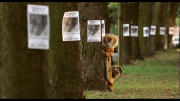 https//i6.imageban.ru/thumbs/2026.08.10/0ffdd696bbfa9c74a13f8e3eb863e4c8.png